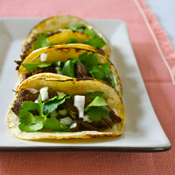 Short Rib Tacos