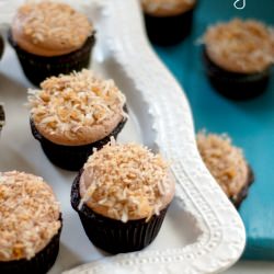 Mocha Coconut Cupcakes