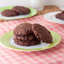 5 Ingredient Chocolate Coconut Cookies