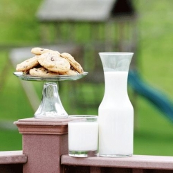 The Best Chocolate Chip Cookies