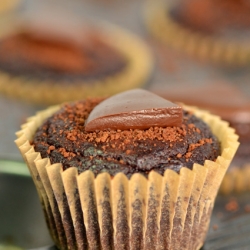 Chocolate avocado cupcakes