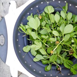 Balsamic Salad