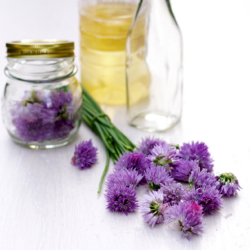 Chive Blossom Vinegar