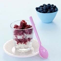 Blueberry and Lemon Ices