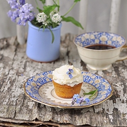 Carrot Cupcakes