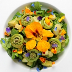 Fiddlehead & Flower Salad