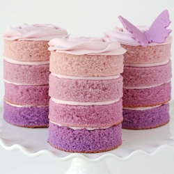 Purple Ombre Mini Cakes