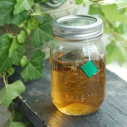 Mint Sun Tea