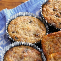 Costa Rican Banana Nut Muffins