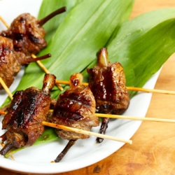 Grilled Teriyaki Beef Skewers