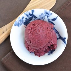 Blueberry Buttermilk Sherbet