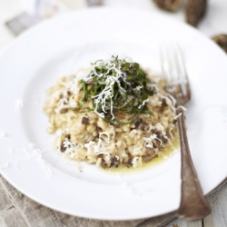 Morel Risotto with Hop Shoots