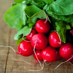 Radish & Feta Salad