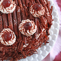 Black forest cake