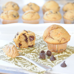 Chocolate Peanut Butter Muffins