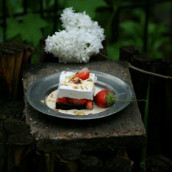 Marshmallow Brownie Cake