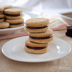 Chocolate Pecan Butter Cookies