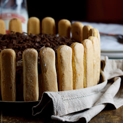 Tiramisu Cake