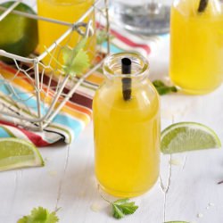 Mango/Vodka Cocktail