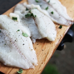 Cedar Plank Smoked Tilapia