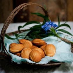 Madeleines