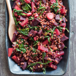 Farro Beet Salad