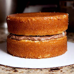 Cake Stacking Basics