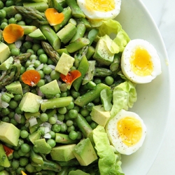 Spring Salad