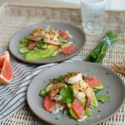 Citrus Fennel + Shrimp Salad