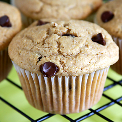 Vegan Chocolate Chip Muffins