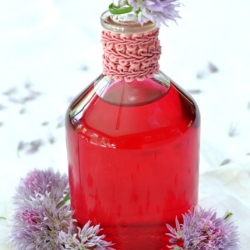 Chive Blossom Vinegar