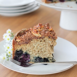 Blueberry Streusel Coffee Cake