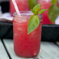 Watermelon Fizzy Cocktail