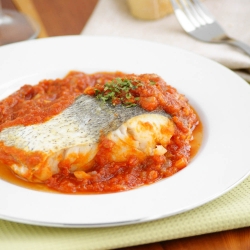 Mediterranean Hake