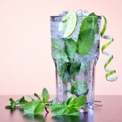 Sante! Mojito