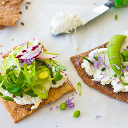 Whole Grain Buttermilk Crackers