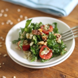 Barley Kale & Cherry Salad