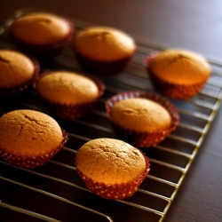 Coffee Cupcakes