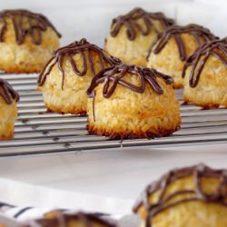 Primal Macaroons