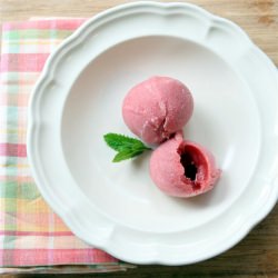 Rhubarb Sorbet Recipe