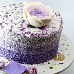 Purple Ombre Coconut Cake