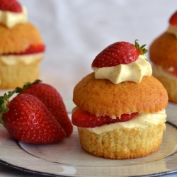 Strawberry Vanilla Cupcakes