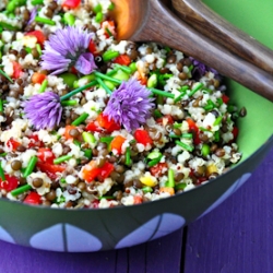 Lentil chive quinoa salad