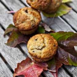 Banana Chocolate Chip Muffins