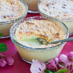 Luscious Lemon Pudding