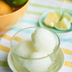 Lemon Lime Soda Sorbet