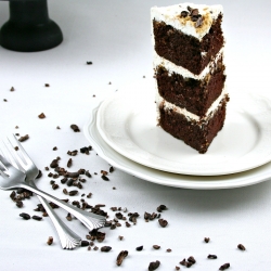 S’mores Cake