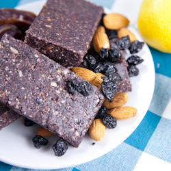 Raw Coconut Blueberry Lemon Bars