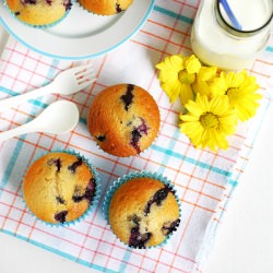 Blueberry Muffins