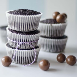 Chocolate Whisper Cupcakes